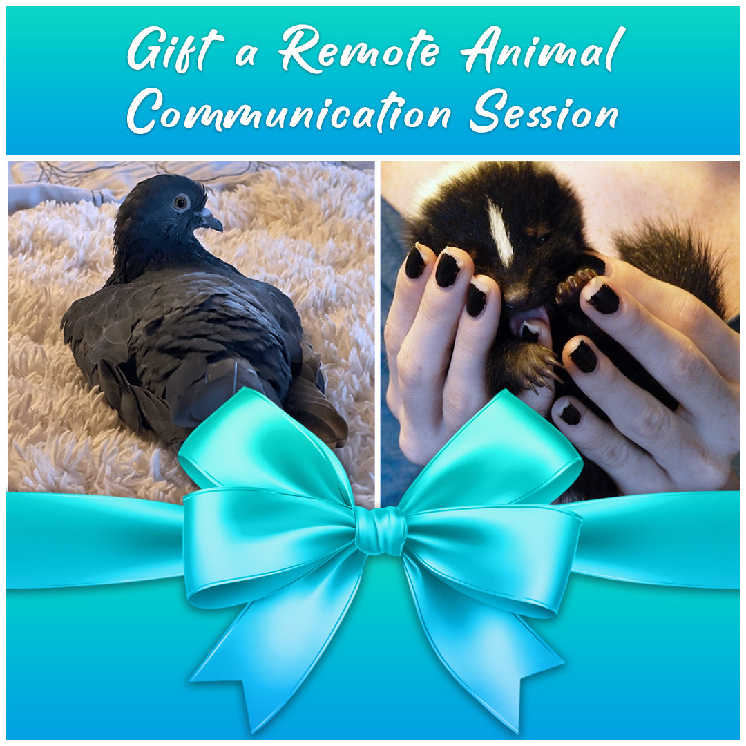 Remote Animal Communication Session Gift Card