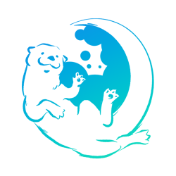 Otter Soul Animal Communication