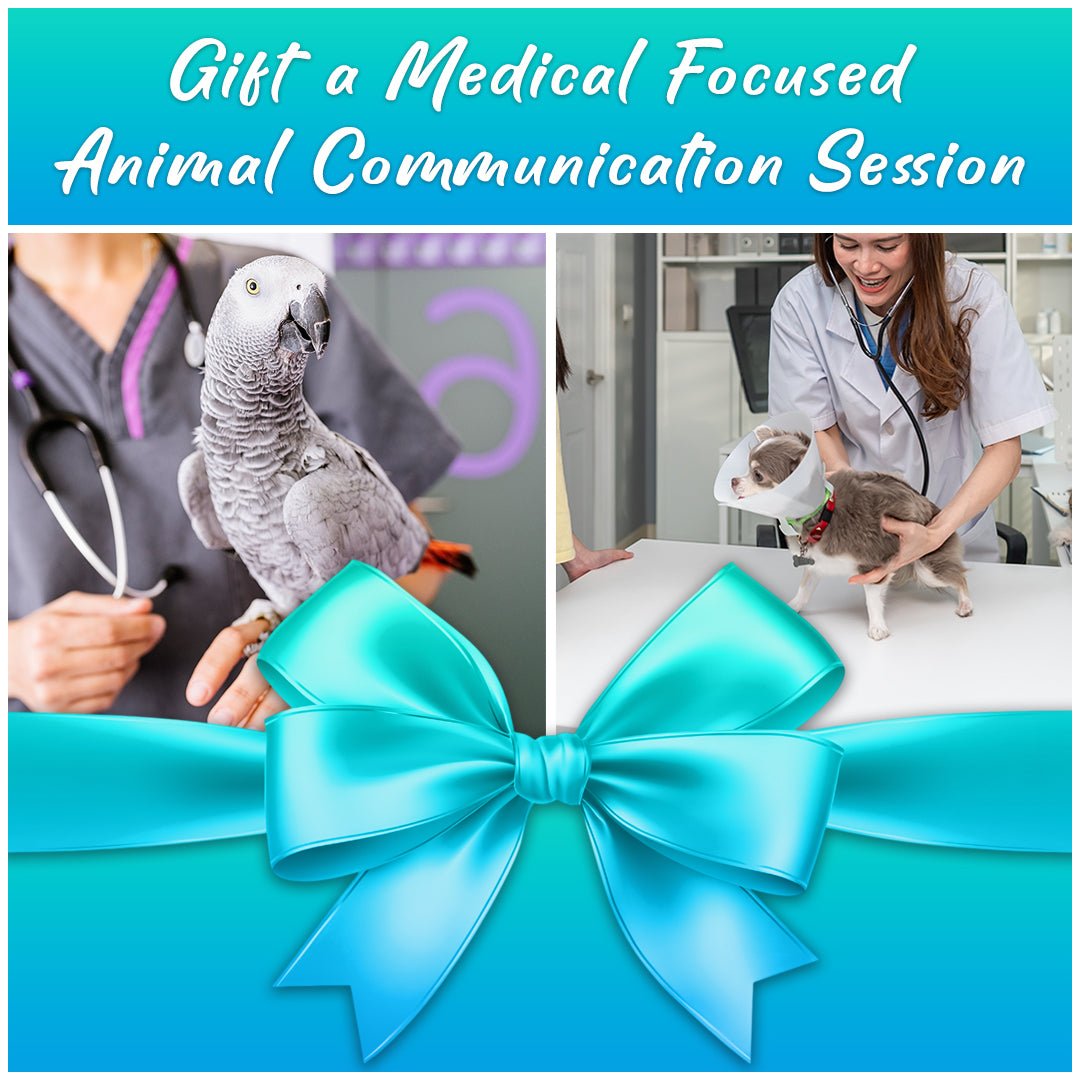 Remote Medical Focused Communication Session Gift Card