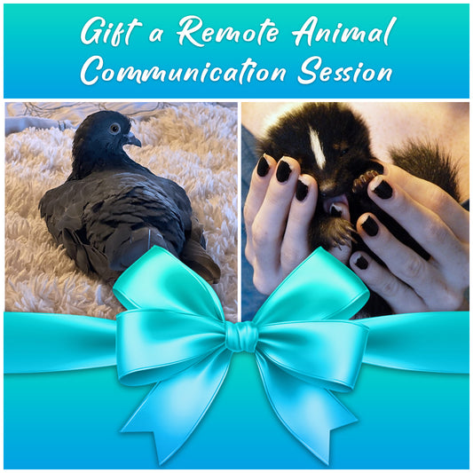 Remote Animal Communication Session Gift Card